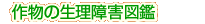 �앨�̐�����Q�}��
