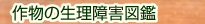 �앨�̐�����Q�}��