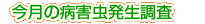 �����̕a�Q����������