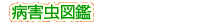 �a�Q���}��
