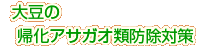 �哤�̋A���A�T�K�I�ޖh���΍�