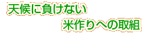 �V��ɕ����Ȃ��č��ւ̎�g