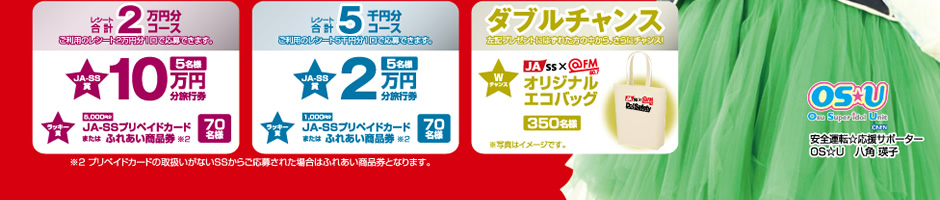 キャンペーン実施期間2万円分コース、５万円分コース、ダブルチャンス