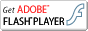 flash Player