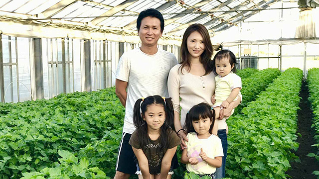 山本 隆芳：大葉 - あいちそだち