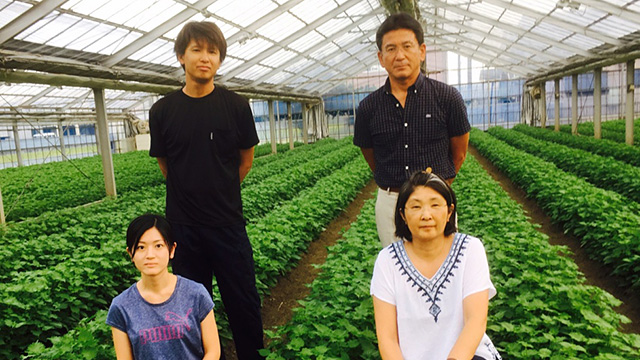 深田 博章：大葉 - あいちそだち