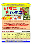 いちごハダニ対策をしましょう