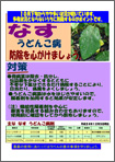 なすうどんこ病防除を心がけましょう