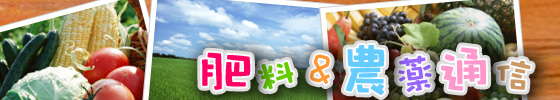 엿_ʐM