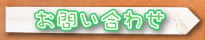 ₢킹