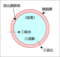 핢엿̗no@\