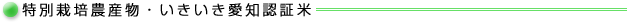 やさい・くだもの一覧