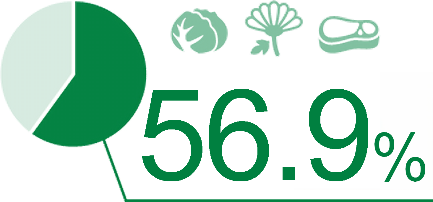 56.9%