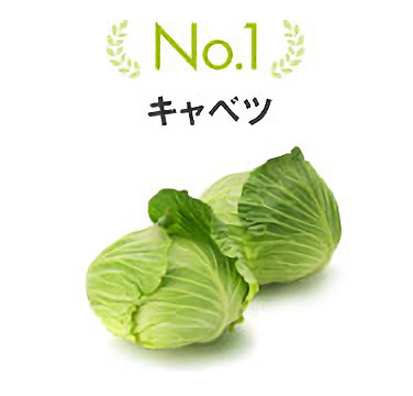 No.1 キャベツ