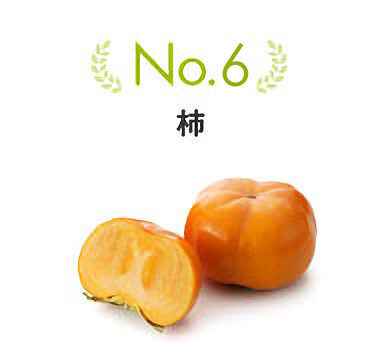 No.6 柿