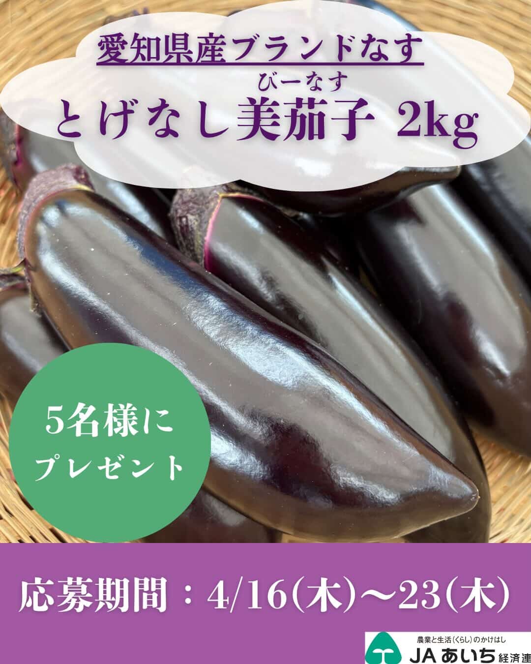 X・Instagramでプレゼントキャンペーン開催中！（とげなし美茄子