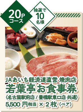 若葉亭お食事券