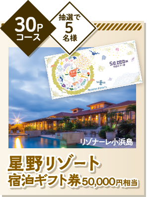 星野リゾート　宿泊ギフト券