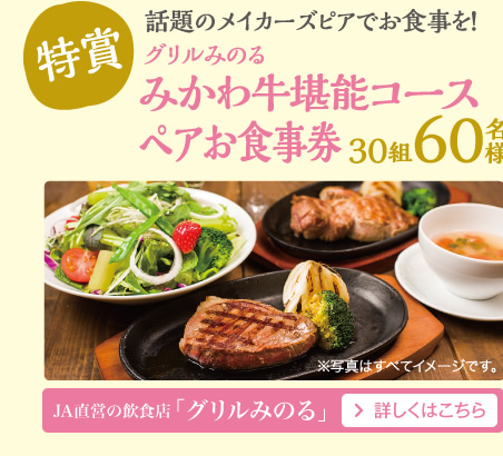 みかわ牛堪能コース　ペアお食事券