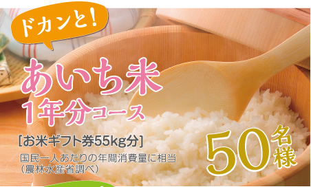 あいち米1年分コース