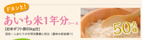 あいち米1年分コース
