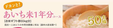 あいち米1年分コース