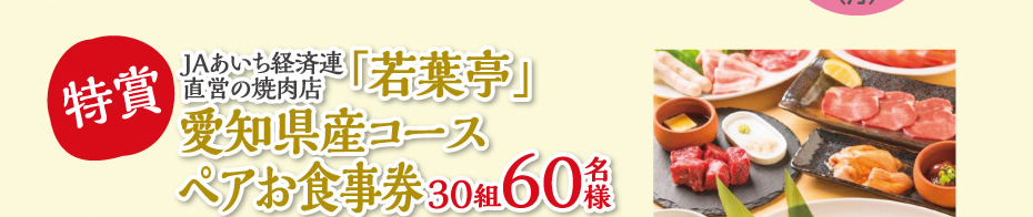 愛知県産コース　ペアお食事券