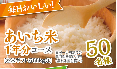 あいち米1年分コース