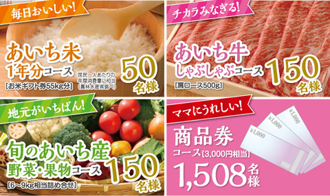 あいち米1年分コース、あいち牛焼肉コース、旬のあいち産野菜・果物コース、商品券コース