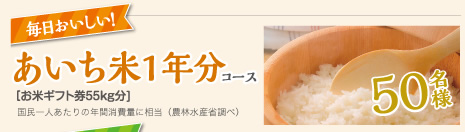 あいち米1年分コース