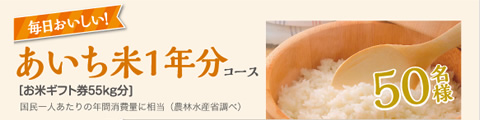 あいち米1年分コース