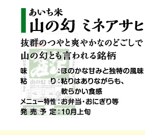 山の幻　ミネアサヒ