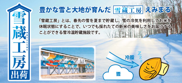 「雪蔵工房」とは、春先の雪を夏まで貯蔵し、雪の冷気を利用してお米を休眠状態にすることで、いつでも採れたての新米の美味しさをお届けすることができる雪冷温貯蔵施設です。
粒が大きく、弾力性のある食感と、しっかりした味わいが特徴のお米です。