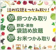 あいち産の詰め放題とつかみ取り!