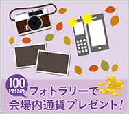 フォトラリー
