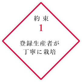 「約束1」登録生産者が 丁寧に栽培