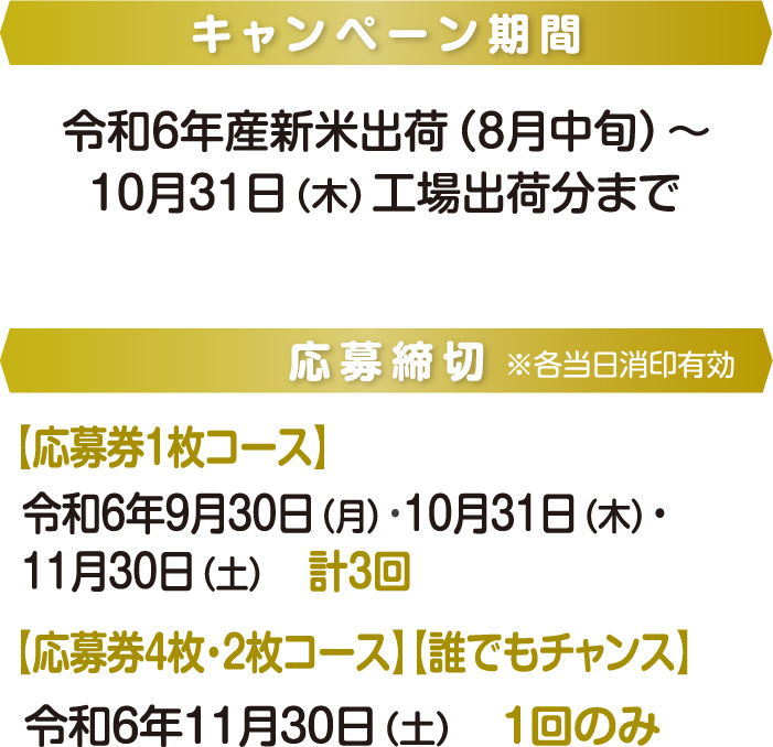 キャンペーン期間