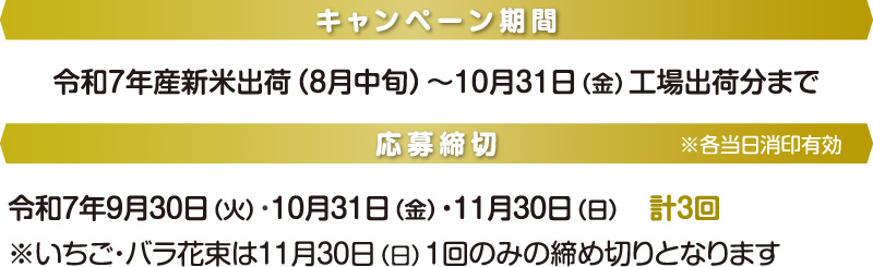 キャンペーン期間