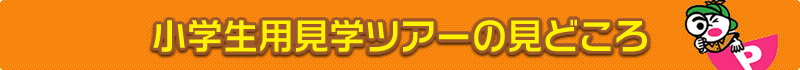 小学生用見学ツアーの見どころ