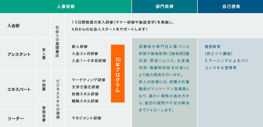 入会から階層別研修制度の一覧表。人事研修、部門研修、自己啓発。