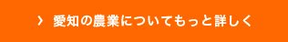 愛知の農業についてもっと詳しく