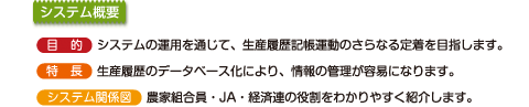 VXeTv